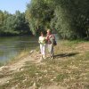 finnek 2011 003